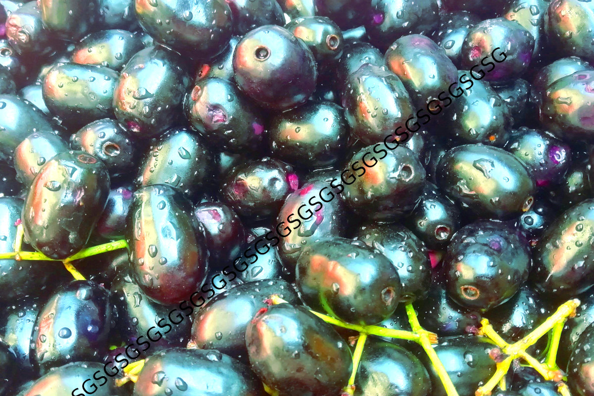Fruit Juice Concentrates -Fruitavit Naturally