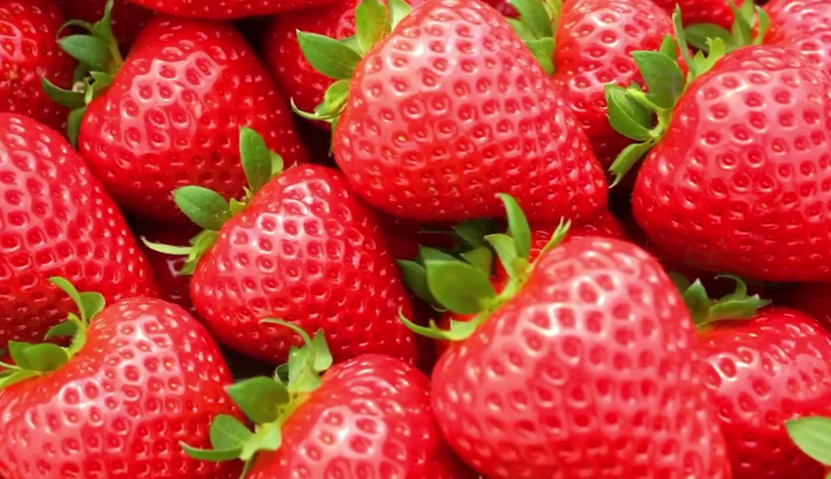 Strawberries-bn