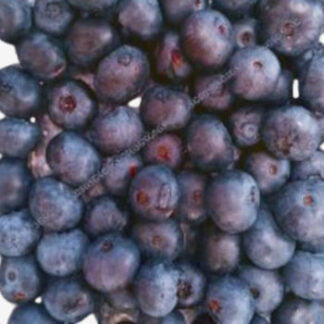 Blueberries