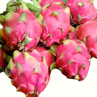 Dragon Fruit