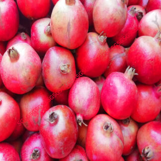Pomegranate Indian