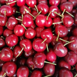 Cherry Puree | Fruitavit Naturally