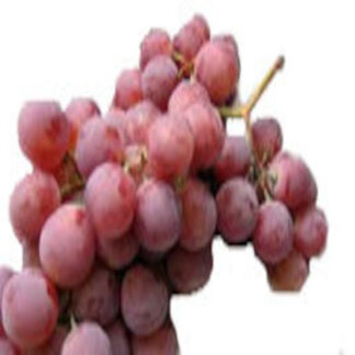 Grape Juice (Premium) | Fruitavit Naturally